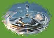 goutte